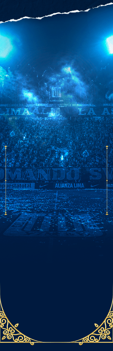 Fondo de estadio