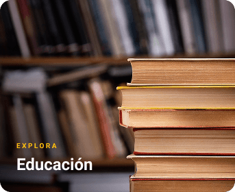 Imagen 8
